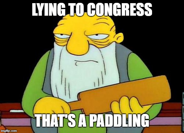 Micheal Michael..... | LYING TO CONGRESS; THAT'S A PADDLING | image tagged in memes,that's a paddlin' | made w/ Imgflip meme maker