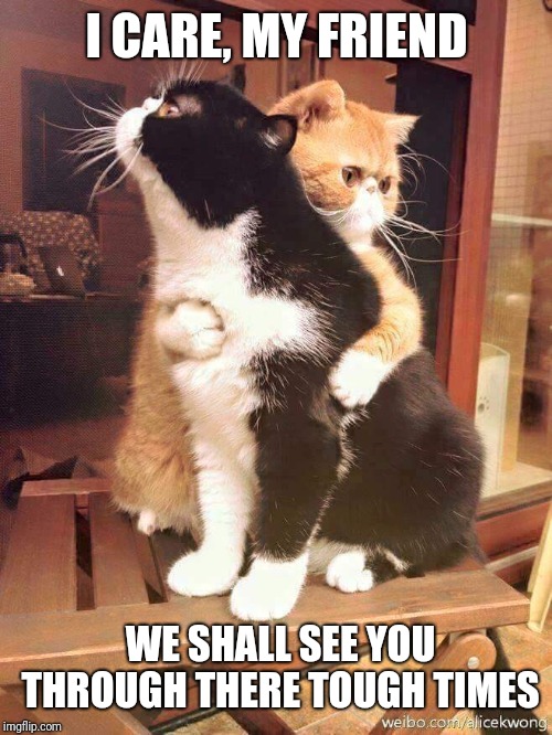cats hugging | I CARE, MY FRIEND WE SHALL SEE YOU THROUGH THERE TOUGH TIMES | image tagged in cats hugging | made w/ Imgflip meme maker