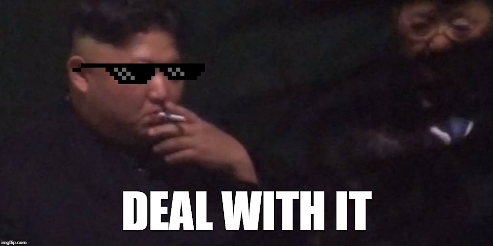 DEAL WITH IT | made w/ Imgflip meme maker