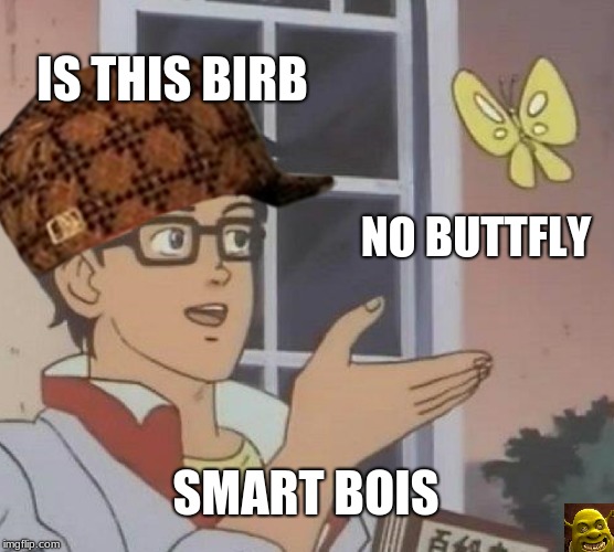 Is This A Pigeon | IS THIS BIRB; NO BUTTFLY; SMART BOIS | image tagged in memes,is this a pigeon | made w/ Imgflip meme maker