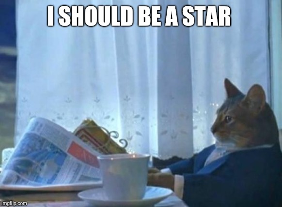 Cat newspaper | I SHOULD BE A STAR | image tagged in cat newspaper | made w/ Imgflip meme maker