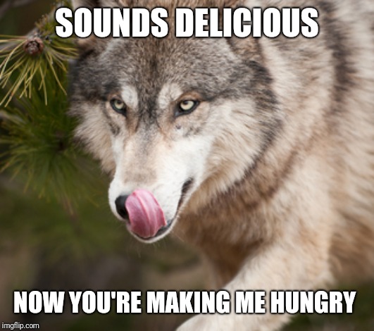 yummy | SOUNDS DELICIOUS NOW YOU'RE MAKING ME HUNGRY | image tagged in yummy | made w/ Imgflip meme maker