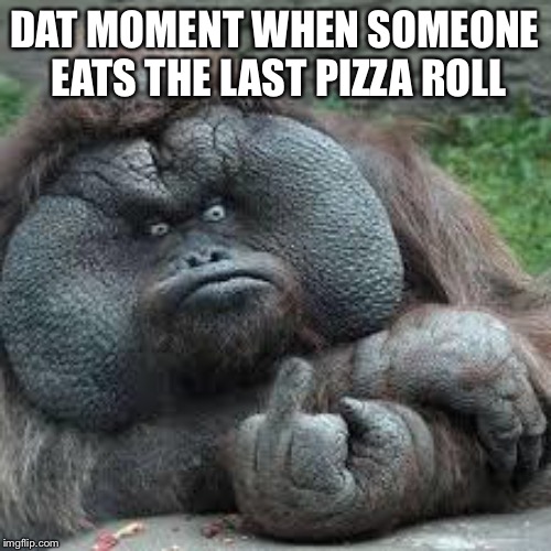 mad monkey | DAT MOMENT WHEN SOMEONE EATS THE LAST PIZZA ROLL | image tagged in mad monkey | made w/ Imgflip meme maker