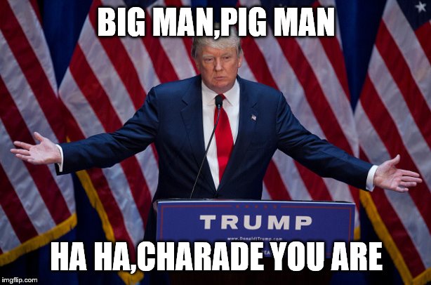 Donald Trump | BIG MAN,PIG MAN HA HA,CHARADE YOU ARE | image tagged in donald trump | made w/ Imgflip meme maker