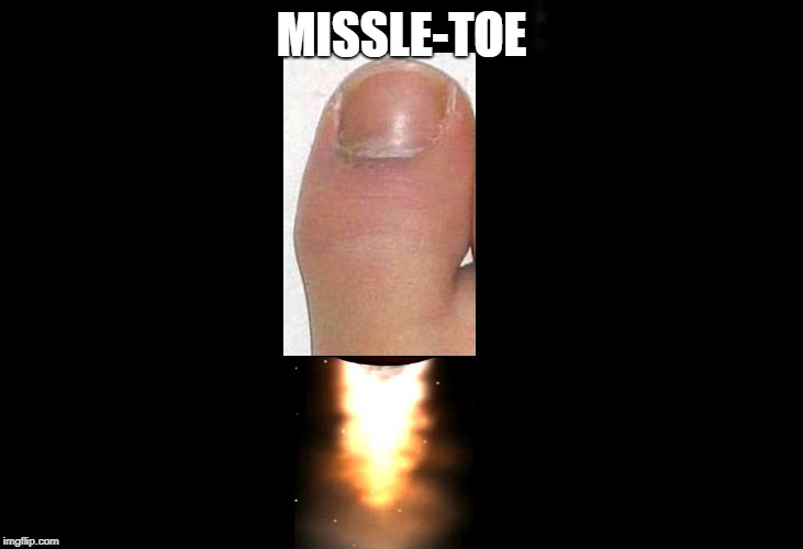 missle-toe | MISSLE-TOE | image tagged in funny meme | made w/ Imgflip meme maker