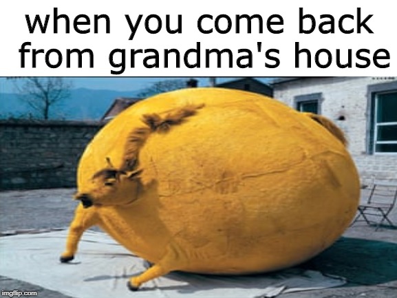 I'm sorry I showed you this grotesque picture |  when you come back from grandma's house | image tagged in memes,funny,grandma,stuffed animal,horse | made w/ Imgflip meme maker