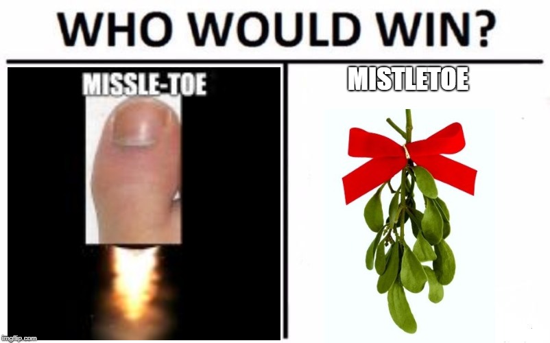 missle-toe v mistletoe | MISTLETOE | image tagged in memes,who would win | made w/ Imgflip meme maker