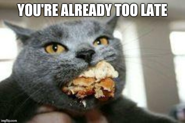 Cat-eating | YOU'RE ALREADY TOO LATE | image tagged in cat-eating | made w/ Imgflip meme maker