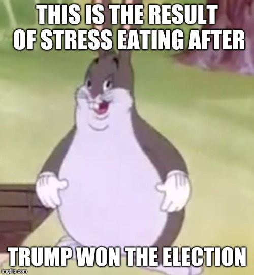Big Chungus | THIS IS THE RESULT OF STRESS EATING AFTER; TRUMP WON THE ELECTION | image tagged in big chungus | made w/ Imgflip meme maker