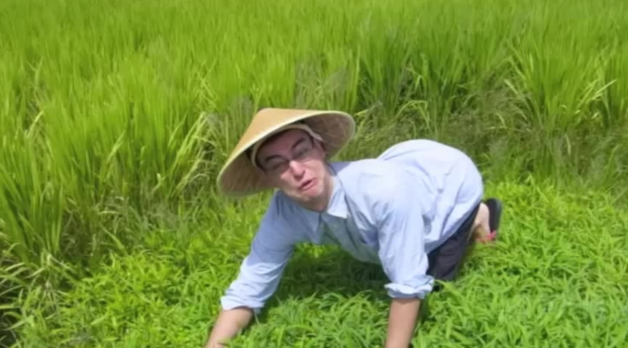 High Quality rice fields Blank Meme Template