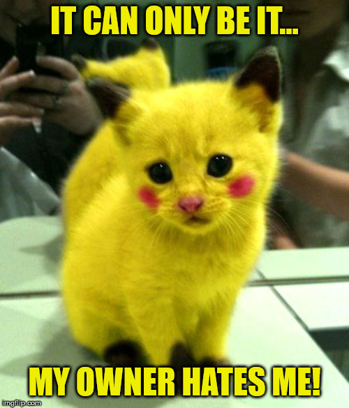 Where's PETA when it's needed? | IT CAN ONLY BE IT... MY OWNER HATES ME! | image tagged in funny,cats,pokemon,pikachu,yellow,paint | made w/ Imgflip meme maker