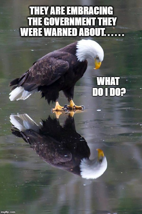 Sad Eagle | THEY ARE EMBRACING THE GOVERNMENT THEY WERE WARNED ABOUT. . . . . . WHAT DO I DO? | image tagged in politics,political meme | made w/ Imgflip meme maker