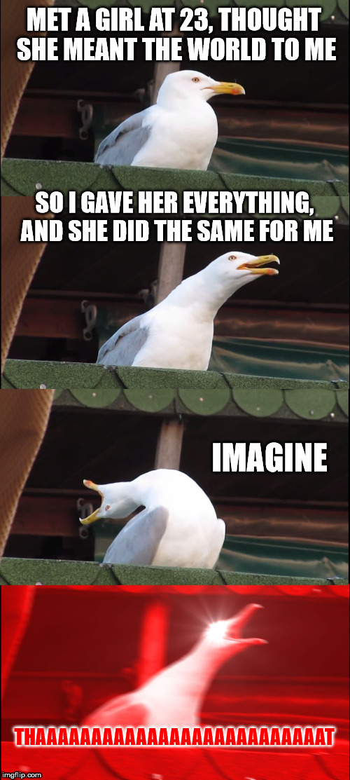 Inhaling Seagull Meme | MET A GIRL AT 23, THOUGHT SHE MEANT THE WORLD TO ME; SO I GAVE HER EVERYTHING, AND SHE DID THE SAME FOR ME; IMAGINE; THAAAAAAAAAAAAAAAAAAAAAAAAAAT | image tagged in memes,inhaling seagull | made w/ Imgflip meme maker