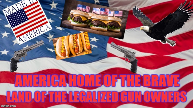 america home of the brave | AMERICA HOME OF THE BRAVE; LAND OF THE LEGALIZED GUN OWNERS | image tagged in america,american flag,bald eagle,burger,hotdog,guns | made w/ Imgflip meme maker