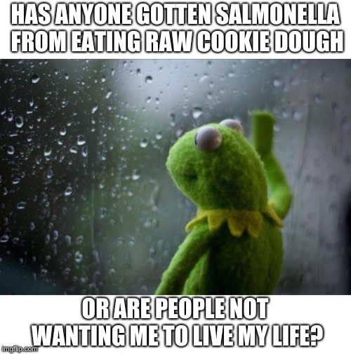 I need help. | HAS ANYONE GOTTEN SALMONELLA FROM EATING RAW COOKIE DOUGH; OR ARE PEOPLE NOT WANTING ME TO LIVE MY LIFE? | image tagged in sad kermit,cookie dough | made w/ Imgflip meme maker