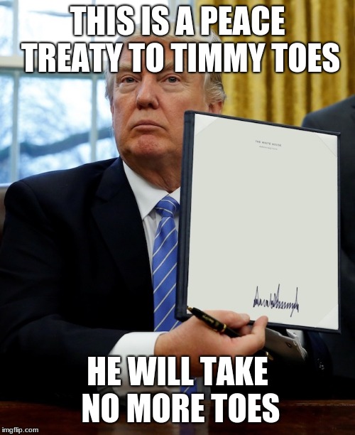 Donald Trump blank executive order | THIS IS A PEACE TREATY TO TIMMY TOES; HE WILL TAKE NO MORE TOES | image tagged in donald trump blank executive order | made w/ Imgflip meme maker