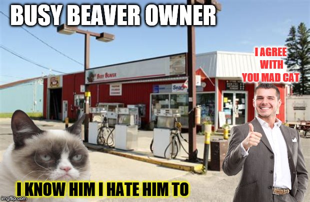busy beaver owner | BUSY BEAVER OWNER; I AGREE WITH YOU MAD CAT; I KNOW HIM I HATE HIM TO | image tagged in mad cat,memes,meme,funny,rainy river canada,meanwhile in canada | made w/ Imgflip meme maker