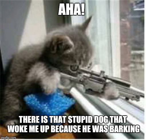 Let me effing sleep | AHA! THERE IS THAT STUPID DOG THAT WOKE ME UP BECAUSE HE WAS BARKING | image tagged in cats with guns,dog,nap,murder | made w/ Imgflip meme maker