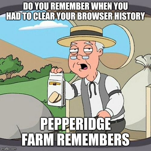 Pepperidge Farm Remembers Meme | DO YOU REMEMBER WHEN YOU HAD TO CLEAR YOUR BROWSER HISTORY; PEPPERIDGE FARM REMEMBERS | image tagged in memes,pepperidge farm remembers | made w/ Imgflip meme maker