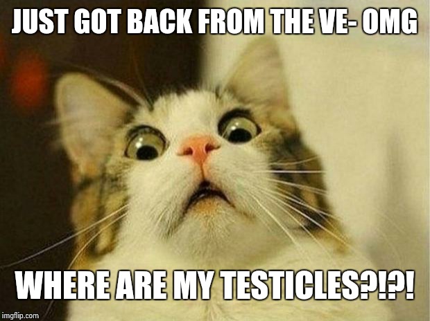 Scared Cat Meme | JUST GOT BACK FROM THE VE- OMG; WHERE ARE MY TESTICLES?!?! | image tagged in memes,scared cat | made w/ Imgflip meme maker
