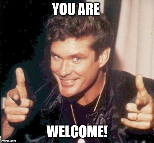The Hoff thinks your awesome | YOU ARE WELCOME! | image tagged in the hoff thinks your awesome | made w/ Imgflip meme maker