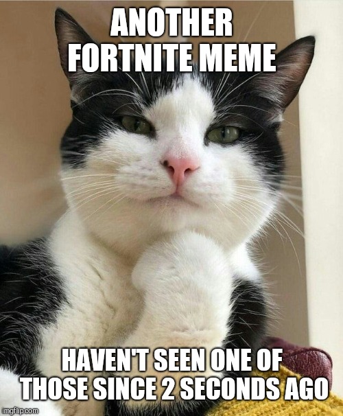ANOTHER FORTNITE MEME HAVEN'T SEEN ONE OF THOSE SINCE 2 SECONDS AGO | made w/ Imgflip meme maker