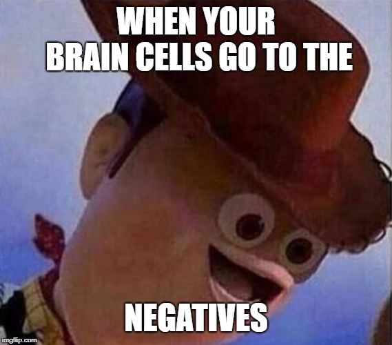Derp Woody | WHEN YOUR BRAIN CELLS GO TO THE; NEGATIVES | image tagged in derp woody | made w/ Imgflip meme maker