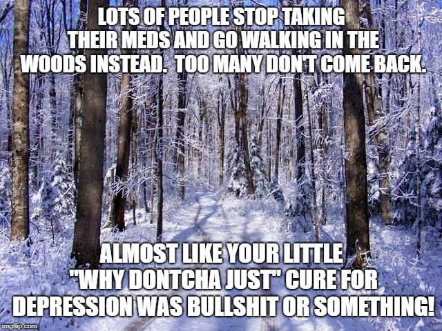 Snowy Woodland Path | LOTS OF PEOPLE STOP TAKING THEIR MEDS AND GO WALKING IN THE WOODS INSTEAD.  TOO MANY DON'T COME BACK. ALMOST LIKE YOUR LITTLE "WHY DONTCHA JUST" CURE FOR DEPRESSION WAS BULLSHIT OR SOMETHING! | image tagged in snowy woodland path | made w/ Imgflip meme maker