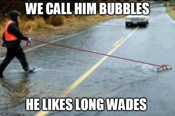 Walking my fish | WE CALL HIM BUBBLES; HE LIKES LONG WADES | image tagged in walking my fish | made w/ Imgflip meme maker