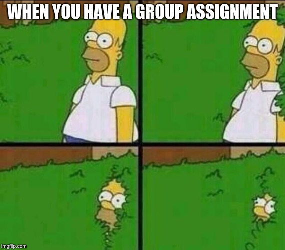 Homer Simpson in Bush - Large | WHEN YOU HAVE A GROUP ASSIGNMENT | image tagged in homer simpson in bush - large | made w/ Imgflip meme maker