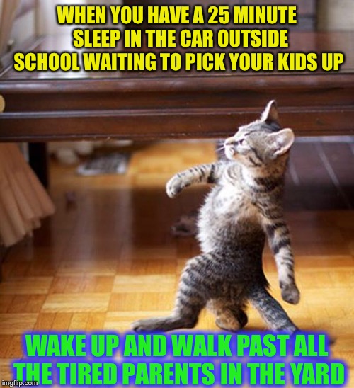 Bring it on you little monsters  | WHEN YOU HAVE A 25 MINUTE  SLEEP IN THE CAR OUTSIDE SCHOOL WAITING TO PICK YOUR KIDS UP; WAKE UP AND WALK PAST ALL THE TIRED PARENTS IN THE YARD | image tagged in strutting kitten,parenting,win,refreshed | made w/ Imgflip meme maker