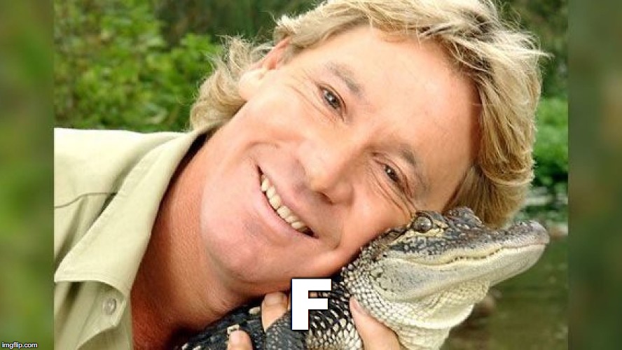 Press F to pay Respects  | F | image tagged in steve irwin,funny,respect,press f to pay respects,rip,dead | made w/ Imgflip meme maker