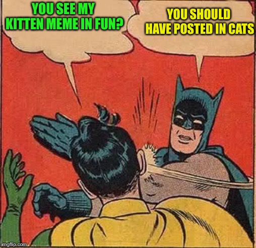 Batman Slapping Robin Meme | YOU SEE MY KITTEN MEME IN FUN? YOU SHOULD HAVE POSTED IN CATS | image tagged in memes,batman slapping robin | made w/ Imgflip meme maker