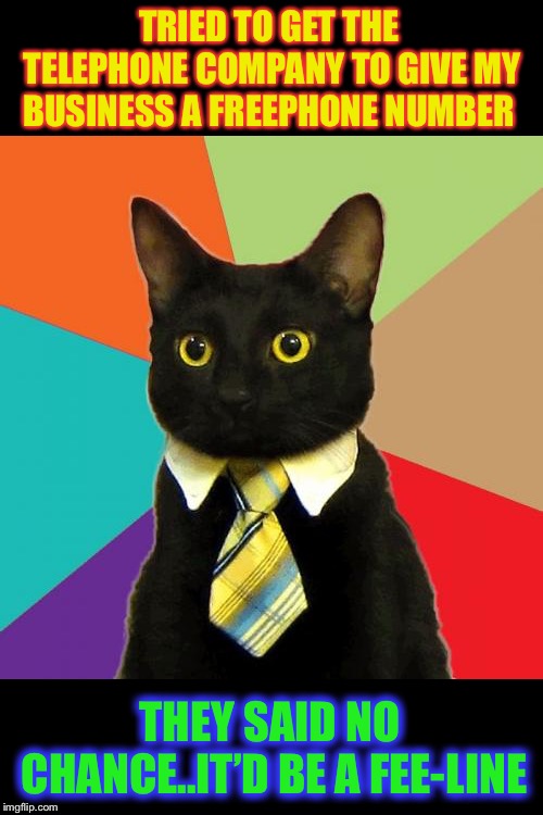 Business Cat | TRIED TO GET THE TELEPHONE COMPANY TO GIVE MY BUSINESS A FREEPHONE NUMBER; THEY SAID NO CHANCE..IT’D BE A FEE-LINE | image tagged in memes,business cat | made w/ Imgflip meme maker