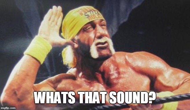 Hulk Hogan Ear | WHATS THAT SOUND? | image tagged in hulk hogan ear | made w/ Imgflip meme maker