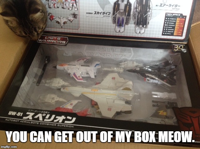 YOU CAN GET OUT OF MY BOX MEOW. | made w/ Imgflip meme maker