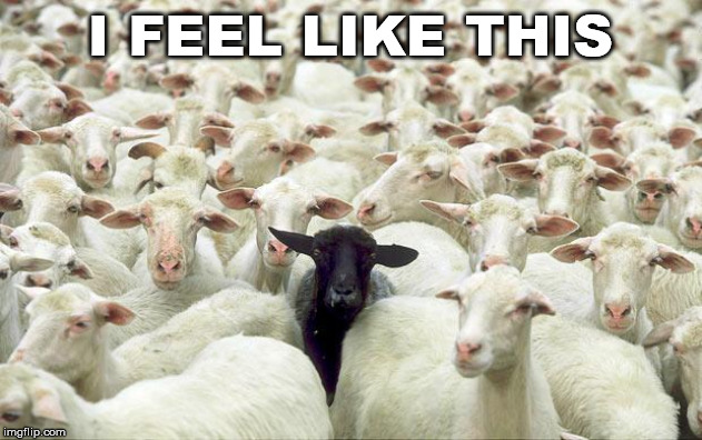 black sheep | I FEEL LIKE THIS | image tagged in black sheep | made w/ Imgflip meme maker