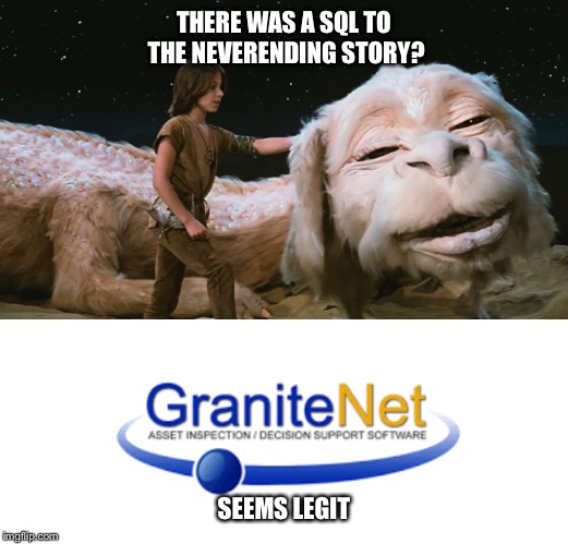 THERE WAS A SQL TO THE NEVERENDING STORY? SEEMS LEGIT | image tagged in granitenet,neverending story,seems legit | made w/ Imgflip meme maker