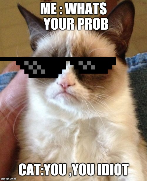 Grumpy Cat Meme | ME : WHATS  YOUR PROB; CAT:YOU ,YOU IDIOT | image tagged in memes,grumpy cat | made w/ Imgflip meme maker