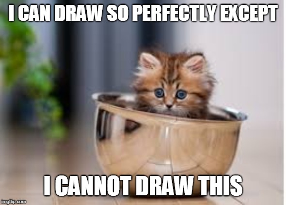 I CAN DRAW SO PERFECTLY EXCEPT; I CANNOT DRAW THIS | image tagged in cute cat,cute | made w/ Imgflip meme maker