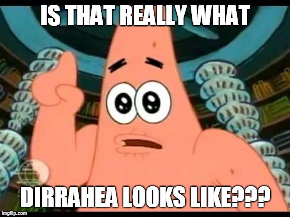 Patrick Says | IS THAT REALLY WHAT; DIRRAHEA LOOKS LIKE??? | image tagged in funny memes | made w/ Imgflip meme maker