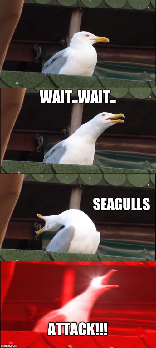 Inhaling Seagull | WAIT..WAIT.. SEAGULLS; ATTACK!!! | image tagged in memes,inhaling seagull | made w/ Imgflip meme maker