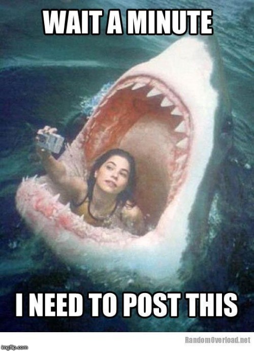 Ban Social Media | image tagged in stupid people,shark | made w/ Imgflip meme maker