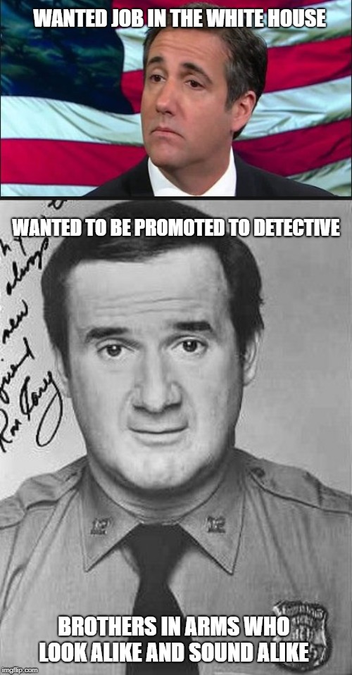 WANTED JOB IN THE WHITE HOUSE; WANTED TO BE PROMOTED TO DETECTIVE; BROTHERS IN ARMS WHO LOOK ALIKE AND SOUND ALIKE | image tagged in michael cohen | made w/ Imgflip meme maker