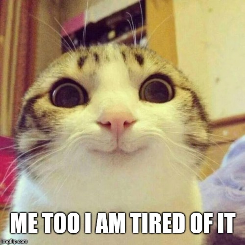 Smiling Cat Meme | ME TOO I AM TIRED OF IT | image tagged in memes,smiling cat | made w/ Imgflip meme maker