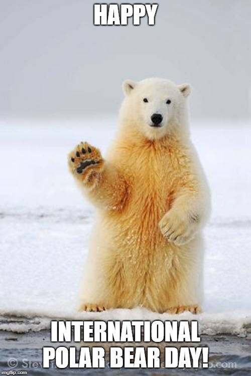 hello polar bear | HAPPY; INTERNATIONAL POLAR BEAR DAY! | image tagged in hello polar bear | made w/ Imgflip meme maker