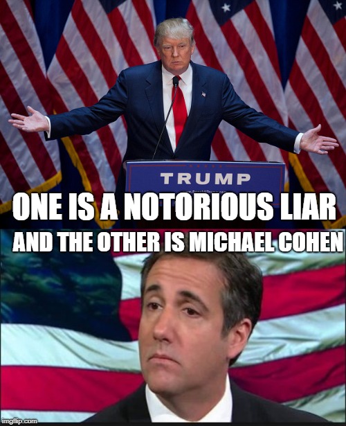 ONE IS A NOTORIOUS LIAR AND THE OTHER IS MICHAEL COHEN | image tagged in donald trump,michael cohen | made w/ Imgflip meme maker