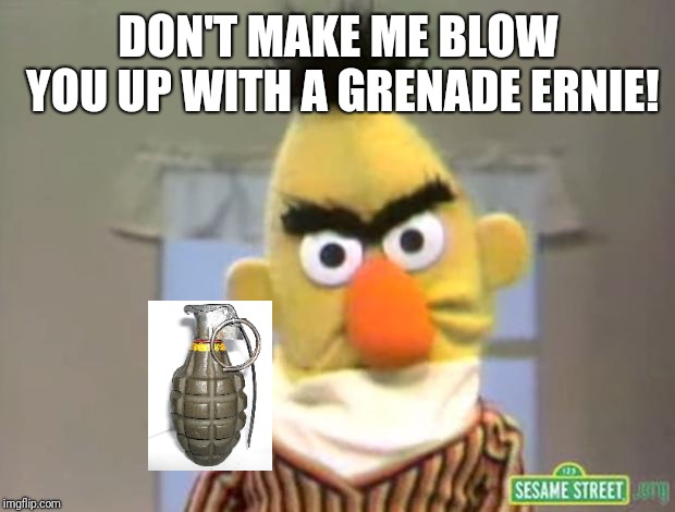Sesame Street - Angry Bert | DON'T MAKE ME BLOW YOU UP WITH A GRENADE ERNIE! | image tagged in sesame street - angry bert | made w/ Imgflip meme maker