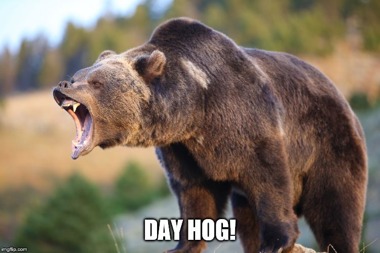 Pissed Grizzly Bear | DAY HOG! | image tagged in pissed grizzly bear | made w/ Imgflip meme maker