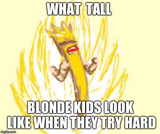  try hard  | WHAT  TALL; BLONDE KIDS LOOK LIKE WHEN THEY TRY HARD | image tagged in wth | made w/ Imgflip meme maker